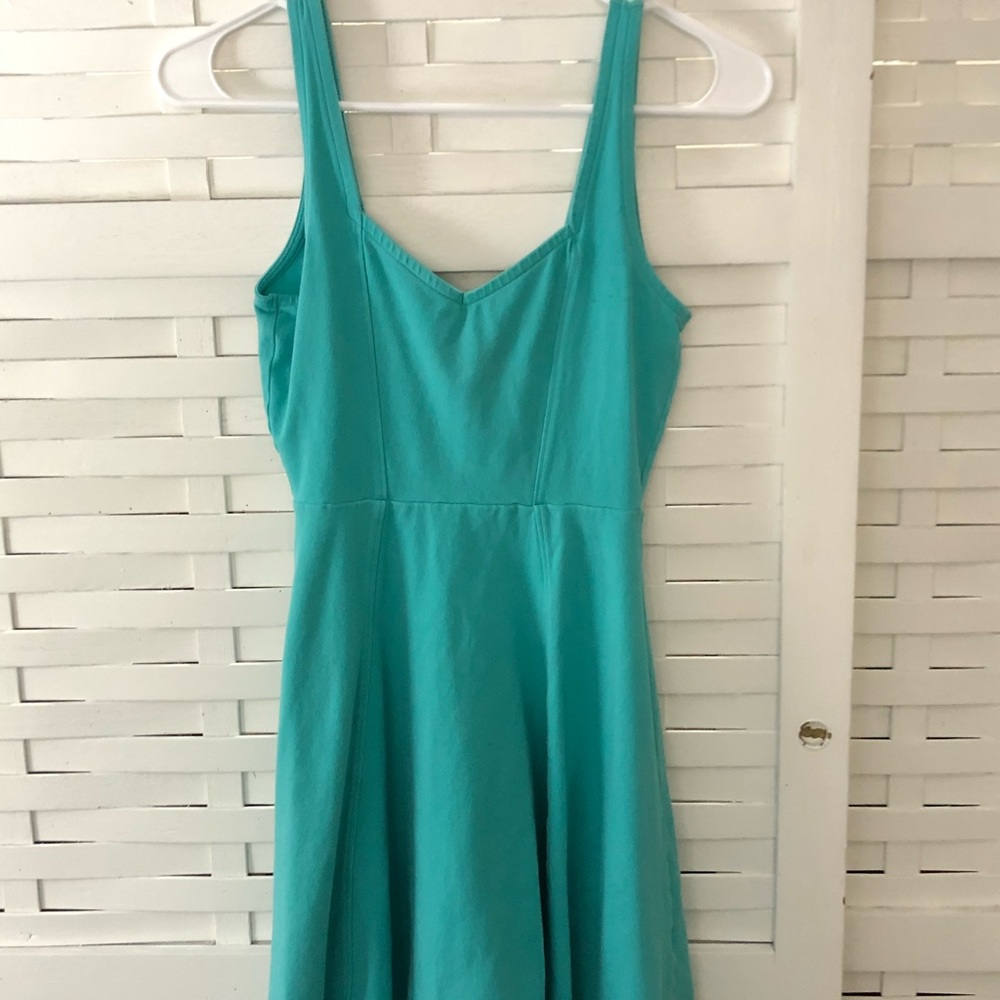 Express Skater Dress